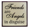 "Friends are Angels in disquise"